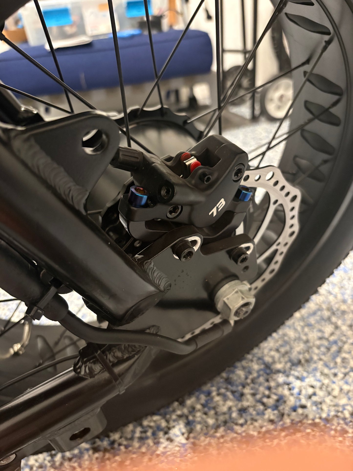 Titanium Bolts For Rear/Front Brake Caliper